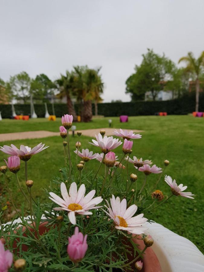 拉默齐亚泰尔默 I Giardini Del Novecento酒店 外观 照片